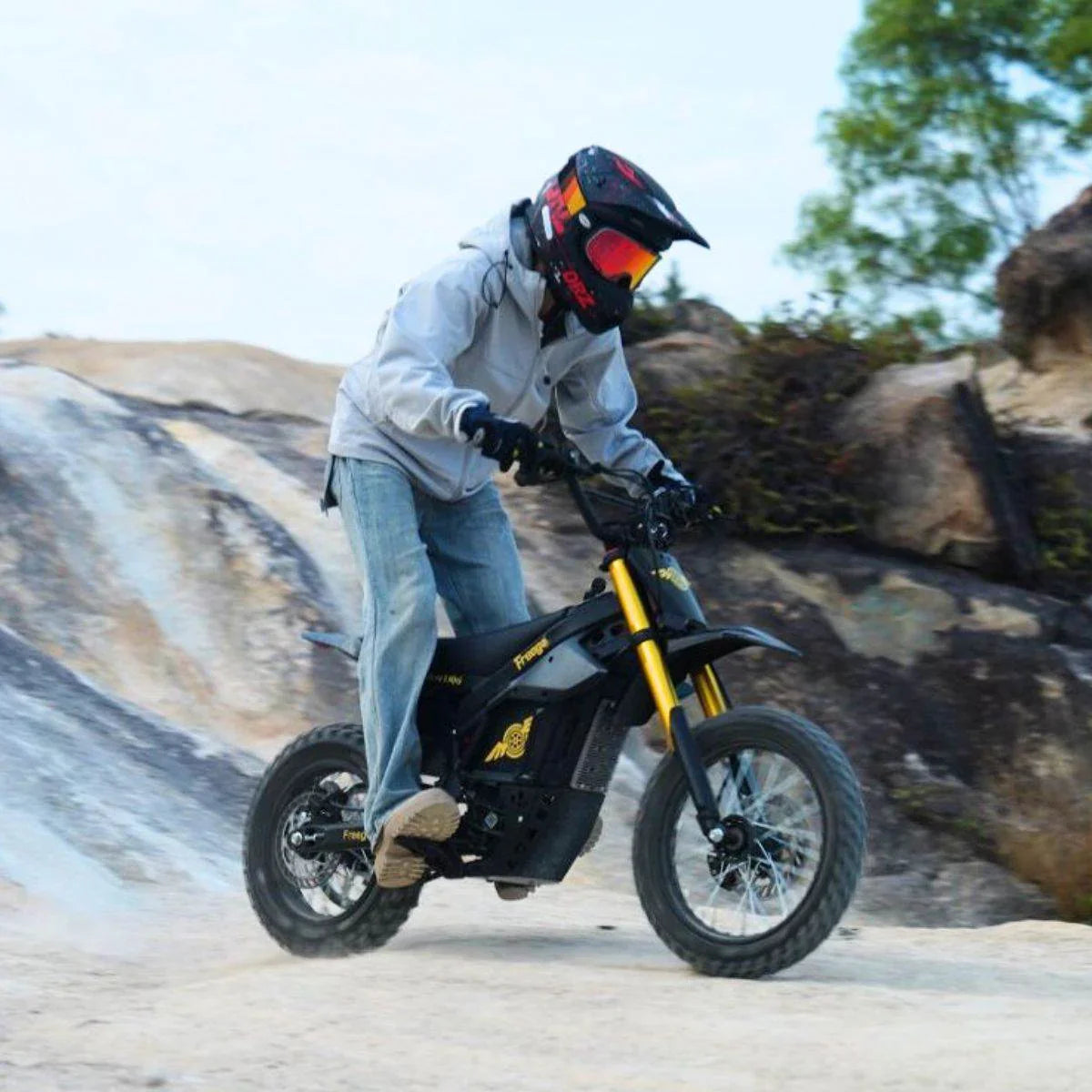 Freego Electric Dirt Bike 2500W 48V E-Bike Fat Tire
