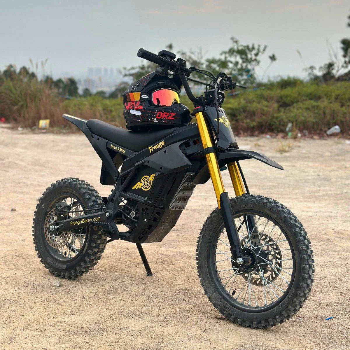 Freego Electric Dirt Bike 2500W 48V E-Bike Fat Tire
