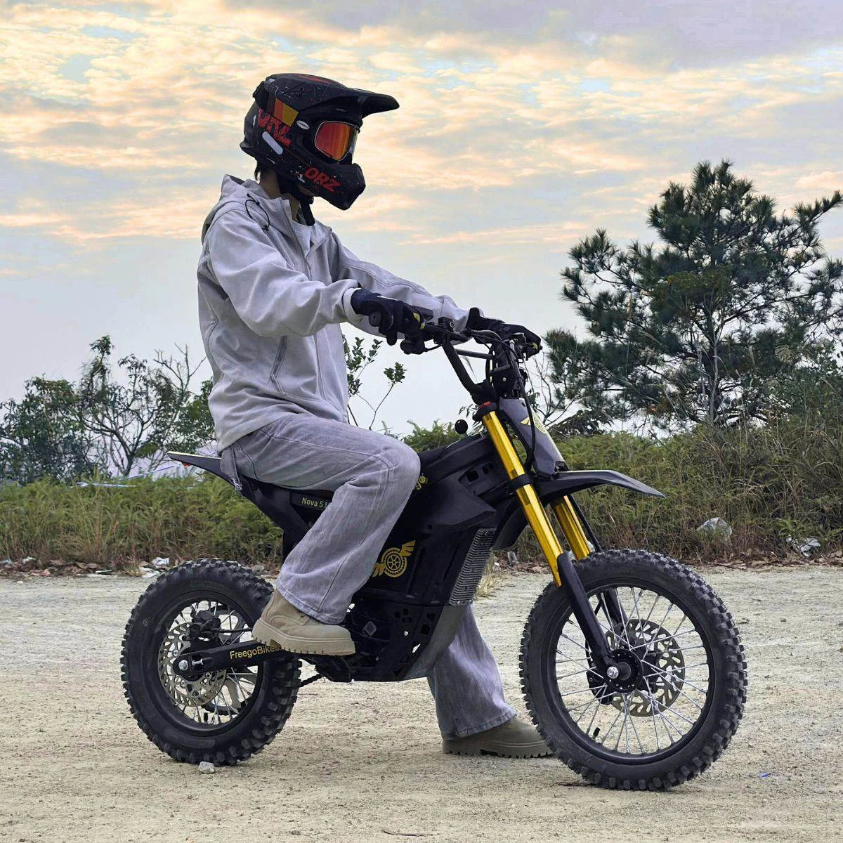 Freego Electric Dirt Bike 2500W 48V E-Bike Fat Tire