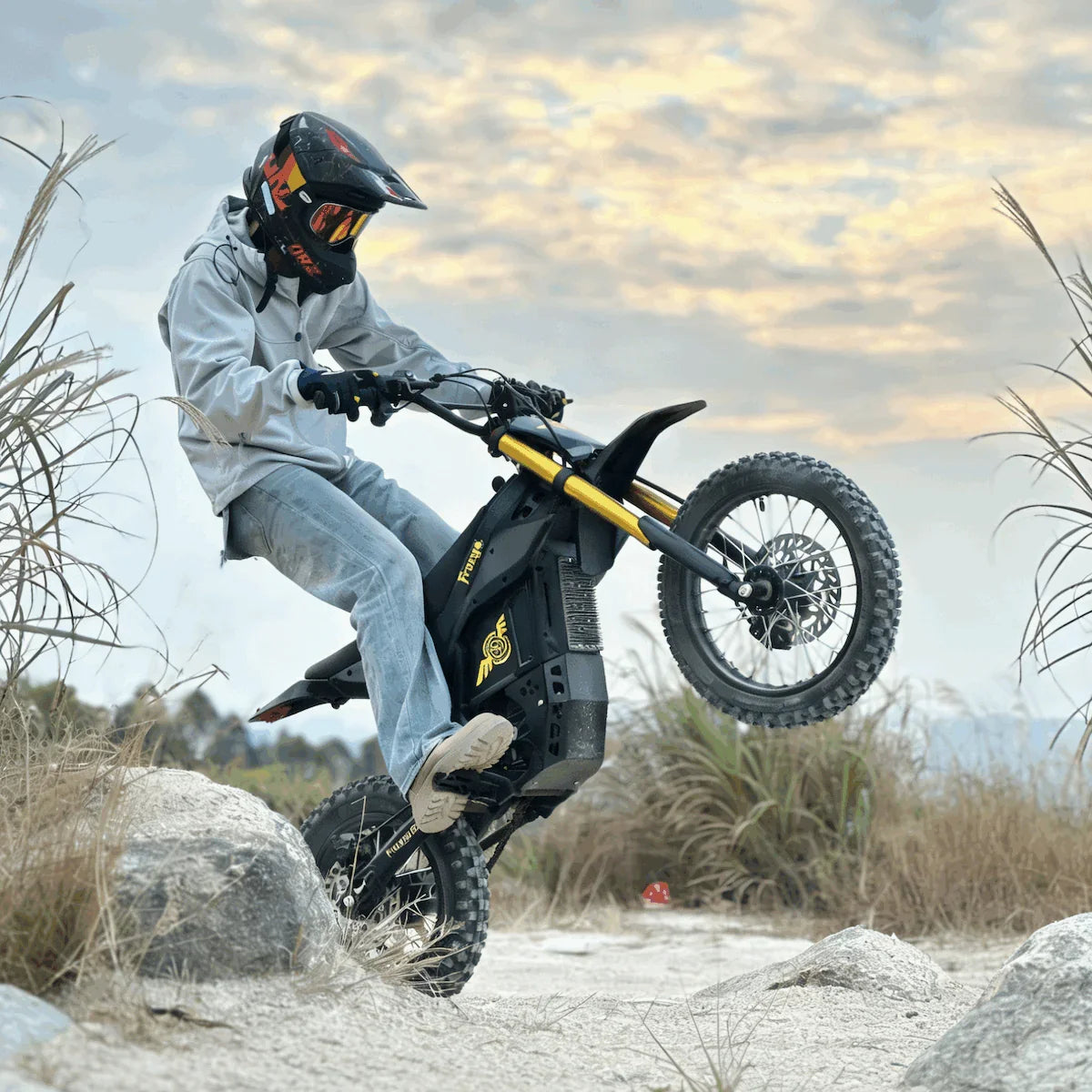 Freego Electric Dirt Bike 2500W 48V E-Bike Fat Tire