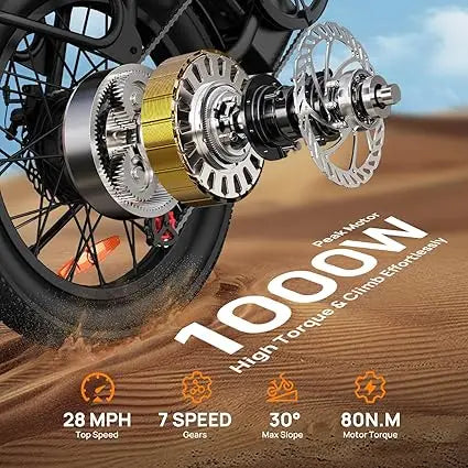 URLIFE 1000W E20 Electric Bike 48V 13Ah Removable Battery
