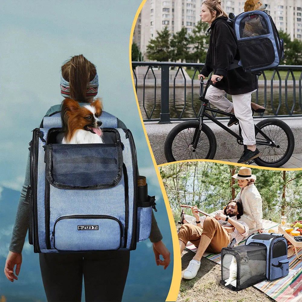 Pet Backpack Carrier For Cats And Dogs Expandable And Foldable