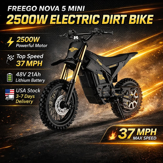 Freego Electric Dirt Bike 2500W 48V E-Bike Fat Tire