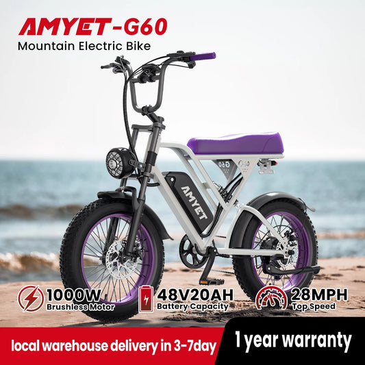 AMYET V9-G60 1000W Electric Bike 48V 20Ah Battery Pack