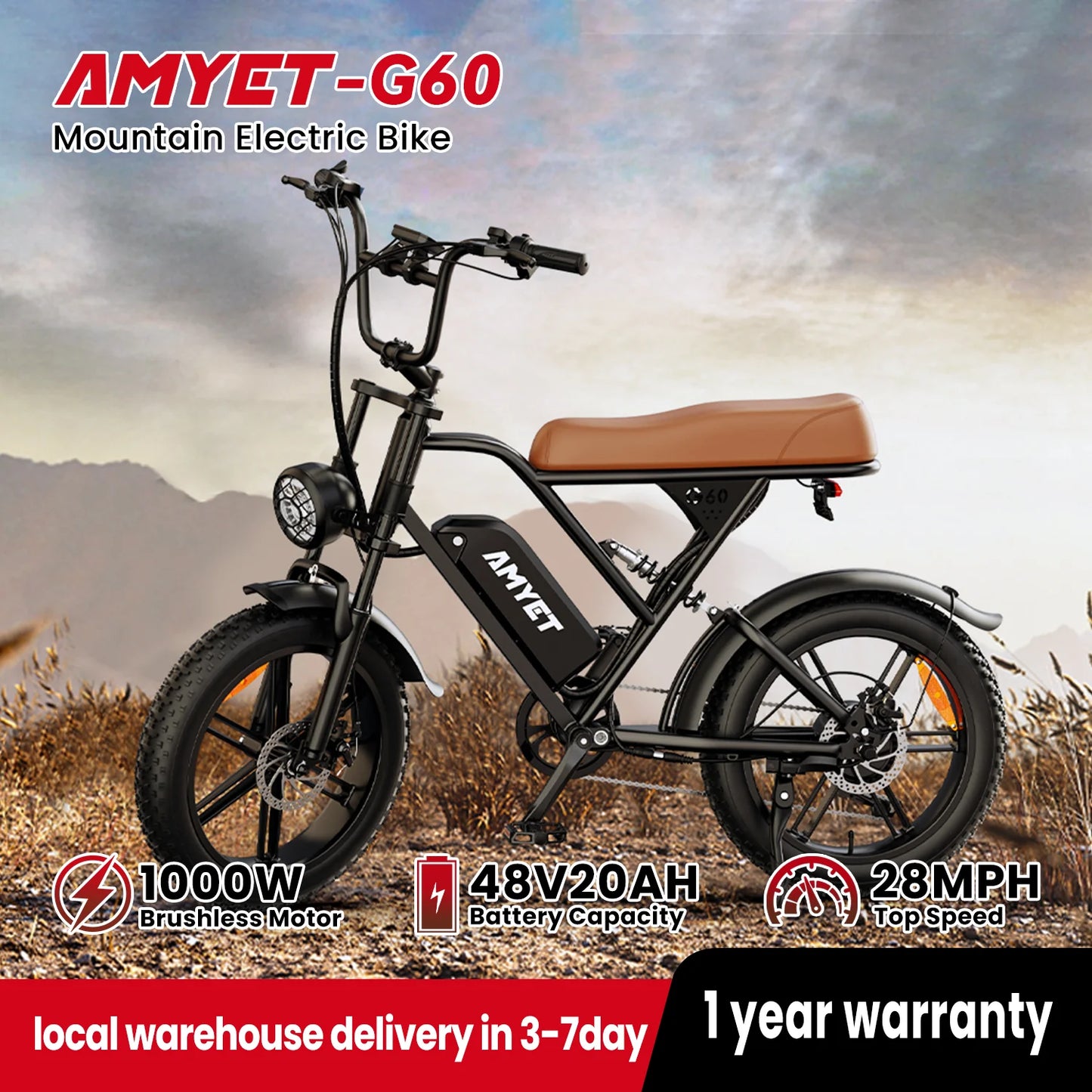 AMYET V9-G60 1000W Electric Bike 48V 20Ah Battery Pack