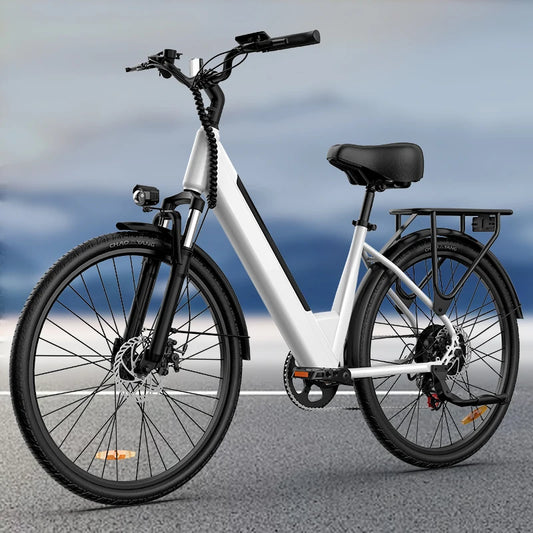 URLIFE 750W E26 Electric Bike With 48V Removable Battery