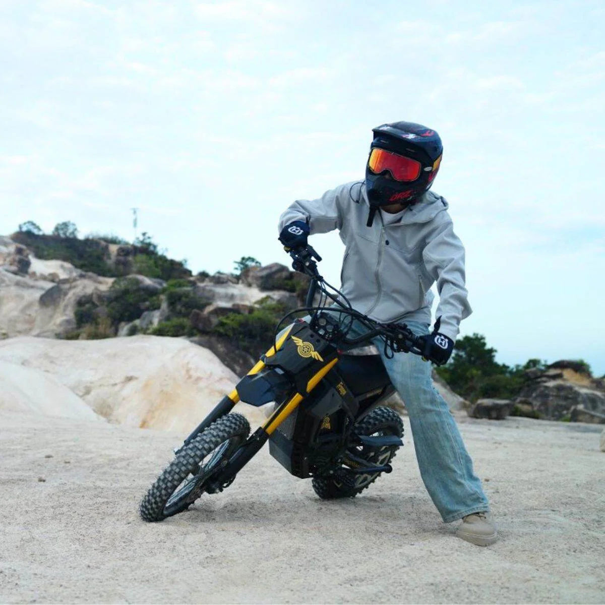 Freego Electric Dirt Bike 2500W 48V E-Bike Fat Tire